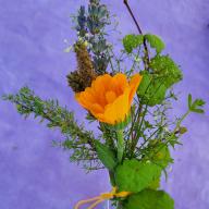 Mini-Kräuterbüschel