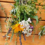 Kräuterbüschel groß