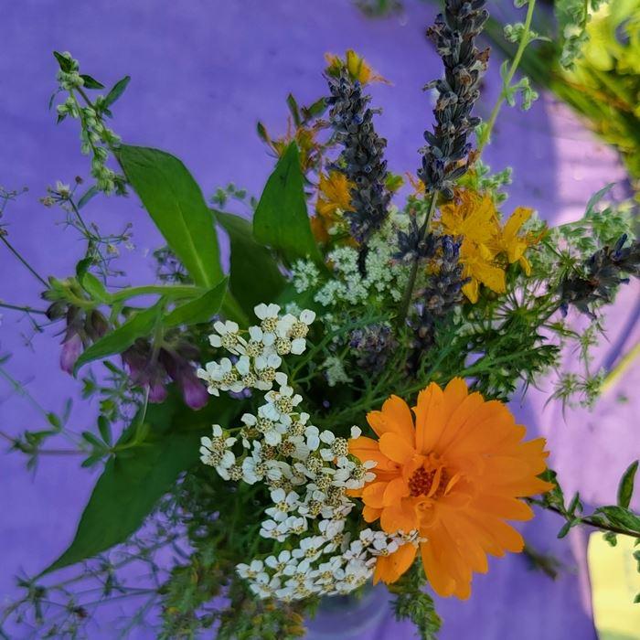 Kräuterbüschel groß