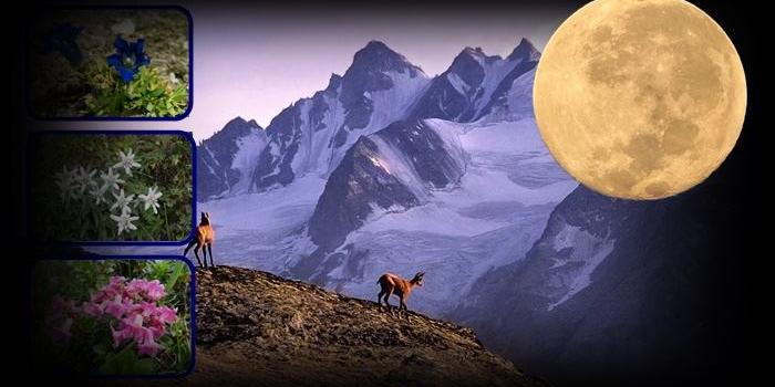 Vollmond in Steinbock